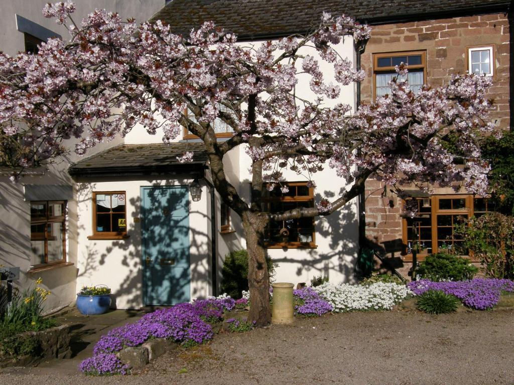 Lea House Bed And Breakfast Ross-on-Wye Exteriér fotografie