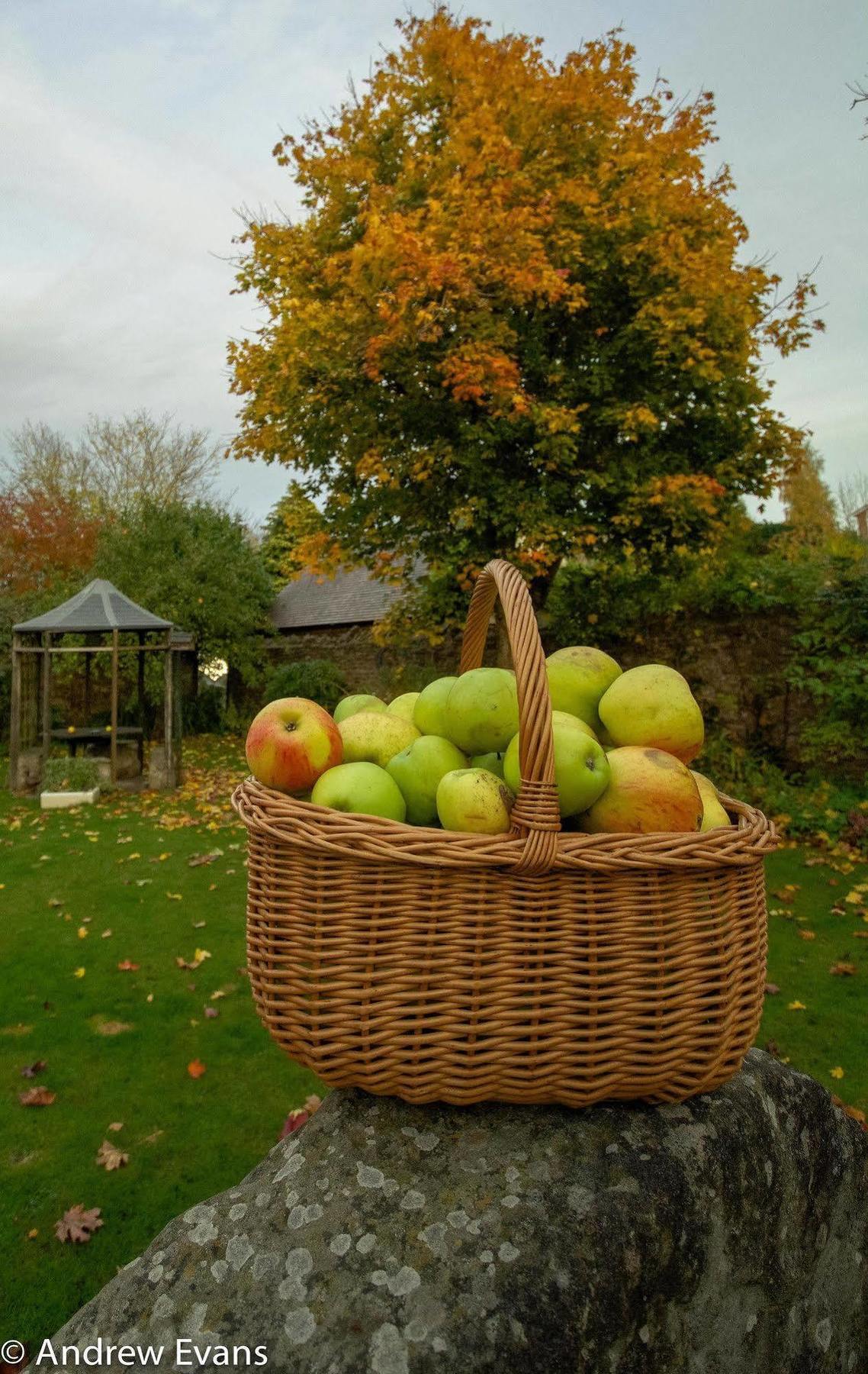 Lea House Bed And Breakfast Ross-on-Wye Exteriér fotografie